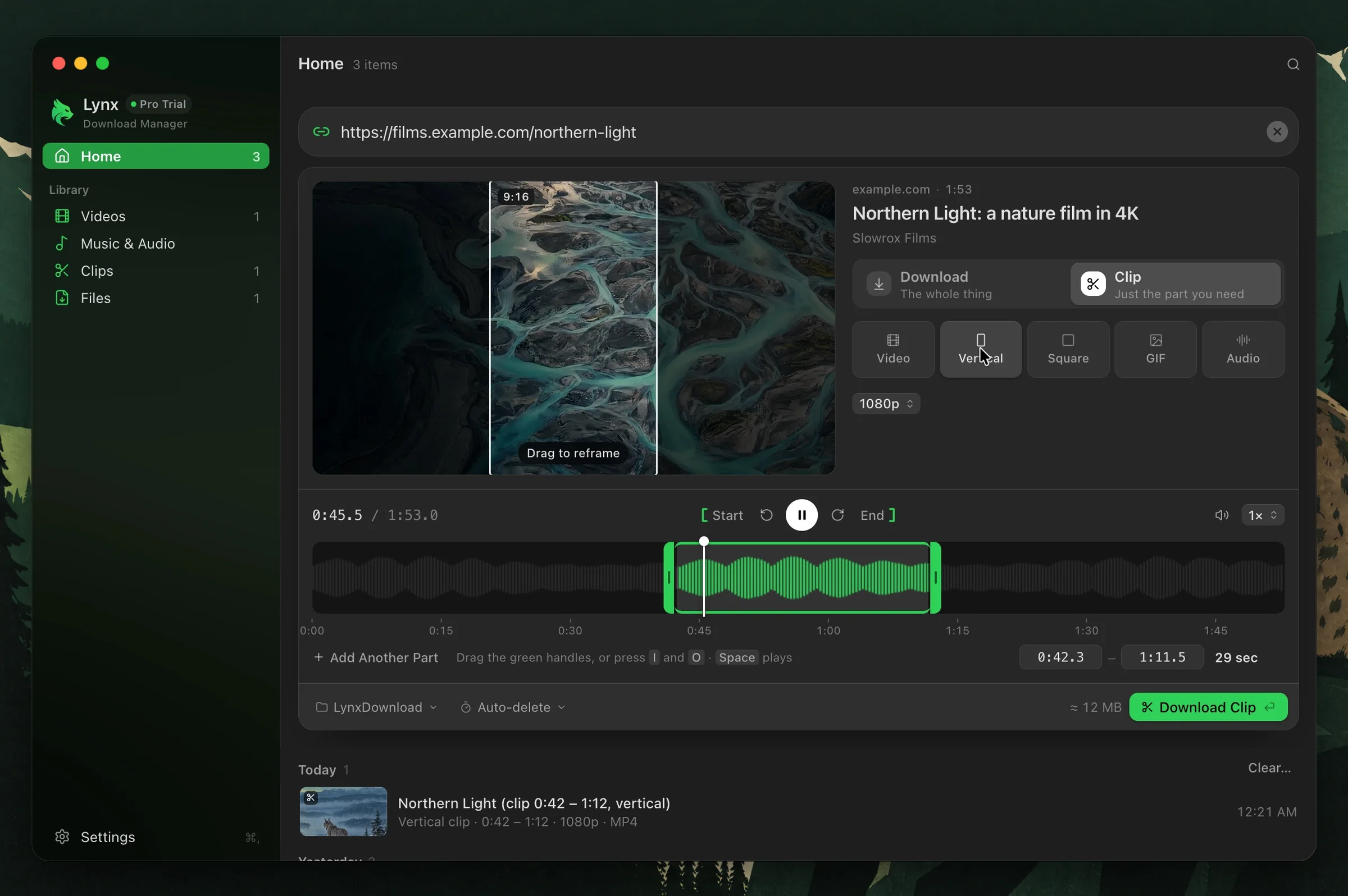 Lynx Clip Download: a 29-second part of a nature film selected on a timeline, with Vertical chosen from Video, Vertical, Square, GIF and Audio