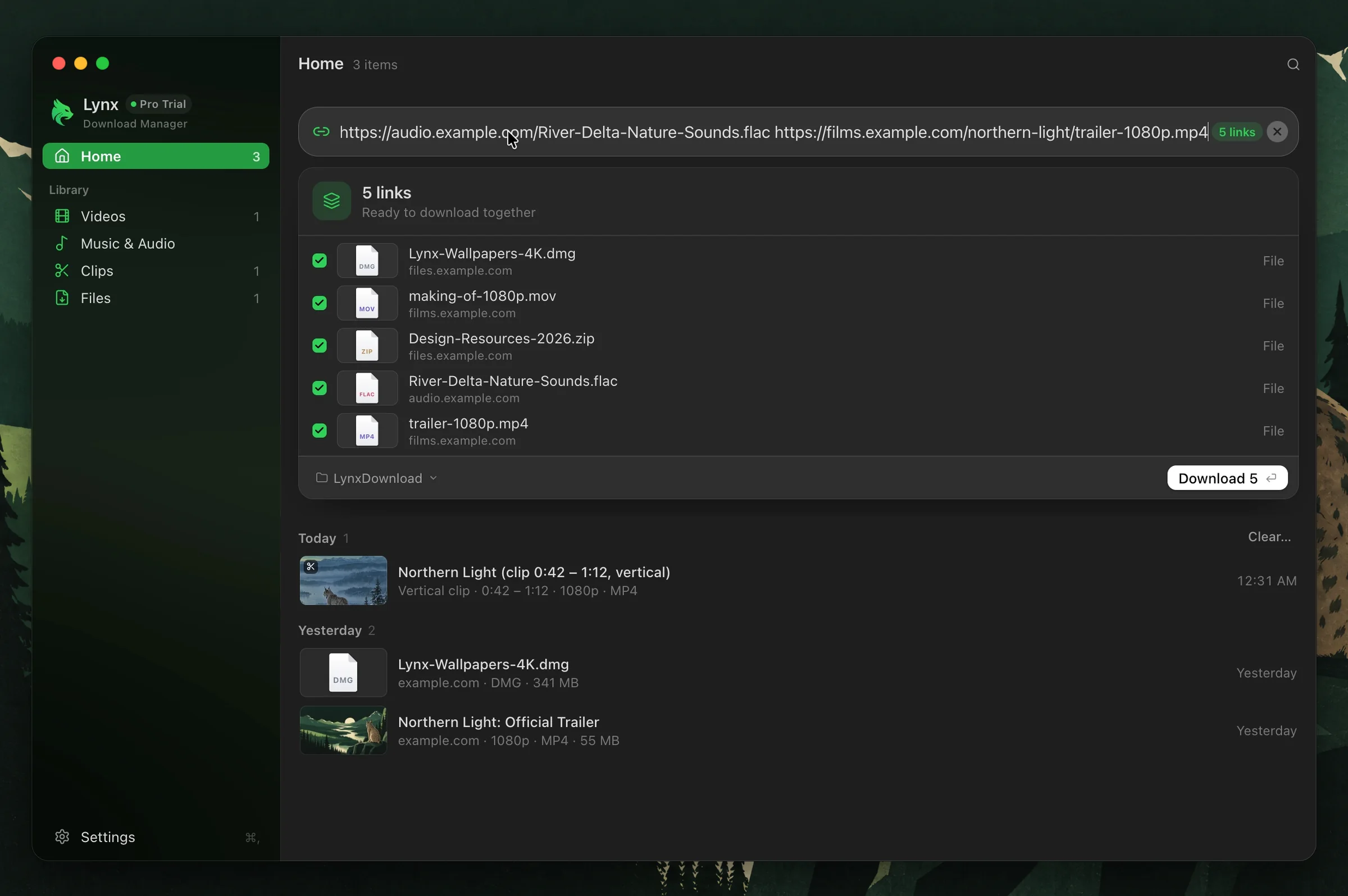 Lynx with five pasted links listed together, ready to download as one batch